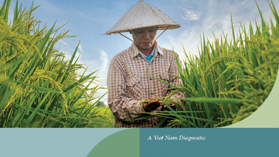 Women's participation fuels Vietnam's green ambitions, driving job creation